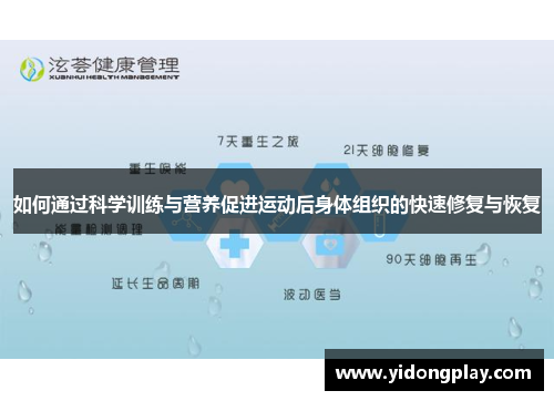 如何通过科学训练与营养促进运动后身体组织的快速修复与恢复