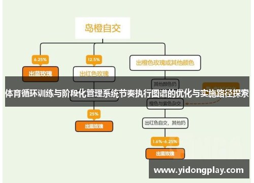 体育循环训练与阶段化管理系统节奏执行图谱的优化与实施路径探索
